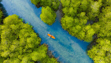 Aerial View Of Man Kayaking On The River In The Forest She Admires Nature And Adventures In The Jungle