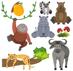 Wall Mural - Wild Animals Cartoon Collection