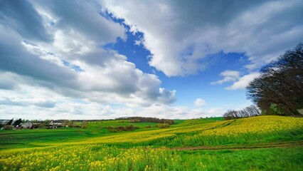 Wall Mural - timelapse cloud sunny summer day over green meadow