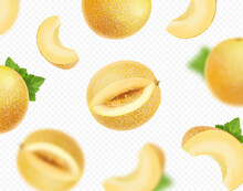 Falling Yellow Melons Fruits. Blurred Melon Slices. Vector Realistic. Transparent Background