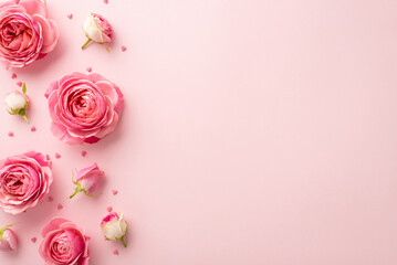 Wall Mural - Women's Day concept. Top view photo of pink peony rose buds and sprinkles on isolated pastel pink background with copyspace