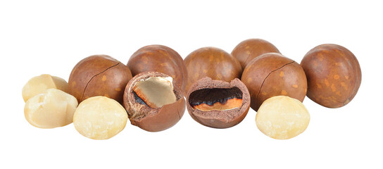 Wall Mural - macadamia nuts on white background