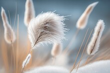 Soft Vegetation On An Abstracted Natural Background Selloan Cortaderia Frosted Pampas Grass With A Boho Inspired Background Of Fuzzy Reeds. First Ice Has Patterns. Earth's Gaze. Generative AI