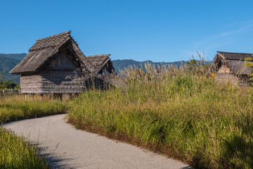 Wall Mural - 佐賀 吉野ヶ里遺跡 南のムラの風景