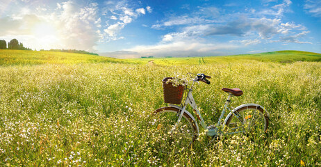 Aufkleber - Beautiful spring summer natural landscape with a bicycle on a flowering meadow against a blue sky with clouds on a bright sunny day.