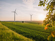 Windkraftanlagen bei Sonnenuntergang mit Feld und Wiese im Vordergrund
