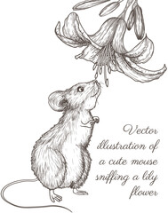 Wall Mural - Vector illustration of a cute mouse sniffing a lily flower in engraving style