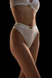 © Lustre Art Group  - Cropped image. Young slim sensual woman wearing white inner wear posing over dark background.