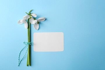 Wall Mural - Beautiful snowdrops and paper card on light blue background, flat lay. Space for text