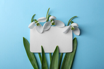 Wall Mural - Beautiful snowdrops and paper card on light blue background, flat lay. Space for text