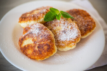 Wall Mural - Sweet cooked cheesecakes in powdered sugar in a plate