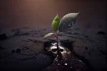 A Small Green Sprout Grows In The Ground Under The Rain. AI Generated
