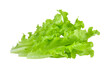  lettuce on transparent png