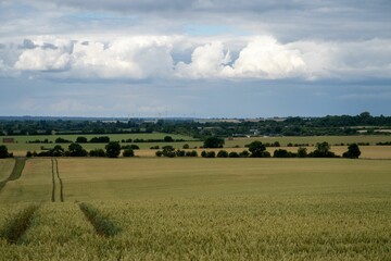 Wall Mural - Beautiful landscape of the farmlands in the Hertfordshire countryside