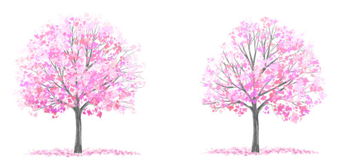 Wall Mural - watercolor blooming sakura tree side view isolated on white background for landscape and architectur