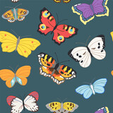 Fototapeta Motyle - Seamless pattern of flying butterflies in red, yellow, white, orange and other colors. Vector illustration in vintage style on a white background.