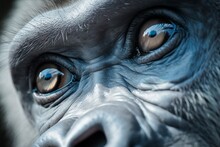 Macro Close-Up Of White Gorilla, AI Generated
