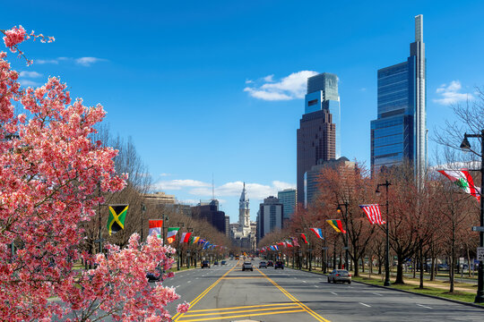 philadelphia city skyline with spring flowers in spring sunny day, philadelphia, pennsylvania.