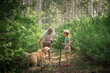a daughter with a dad and a Labrador dog walk along a forest path in the summer