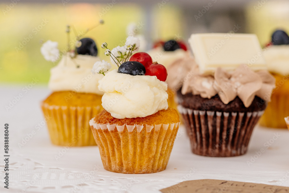 Cupcakes und Muffins mit Vanillecreme Topping und Heidelbeeren und ...