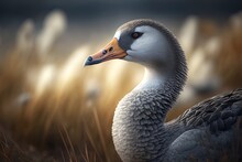 Photograph Of A Single Gray Geese In A Field Generative AI