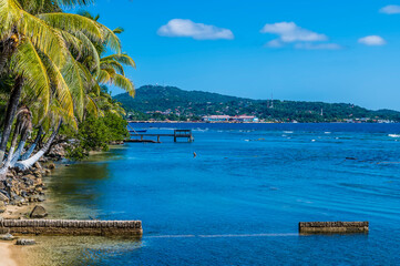 Wall Mural - A view along the coastline at Gravel Bay towards the Port of Roatan on Roatan Island on a sunny day