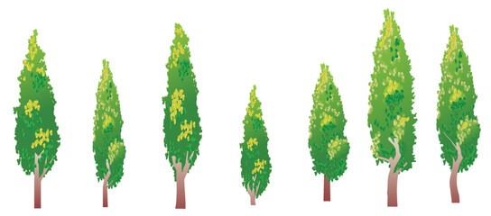 Set of seven beautiful poplar trees in cartoon style isolated on white background. Vector illustration for design elements.