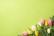Woman's Day atmosphere concept. Top view photo of bunch of pussy willow branches and colorful tulips on isolated light green background with copyspace