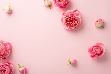 Wall Mural - Mother's Day concept. Top view photo of fresh flowers pink peony roses on isolated pastel pink background with blank space