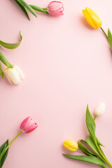 Wall Mural - Spring mood concept. Top view vertical photo of fresh flowers colorful tulips on isolated pastel pink background with copyspace in the middle