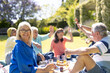 © Wavebreak Media - Portrait of happy group of diverse senior friends having picnic in garden on sunny day