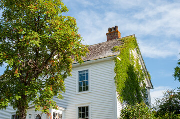 A historical two story white wooden house with multiple small glass windows, a brown shingled peaked roof, and lace curtains. There are shrubs and trees and ivy climbing the side of the old building.