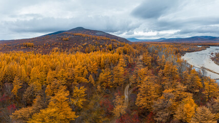 Wall Mural - Beautiful autumn landscape. Aerial view of mountains and river valley. Top view of yellow larch trees. Road in the forest. Travel to Siberia and the Russian Far East. Ola river, Magadan Region, Russia