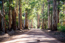 Old Vasse Road - Western Australia