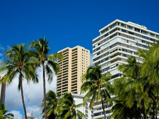 Canvas Print - High-rises loom above Waikiki, Honolulu's famed tourist district