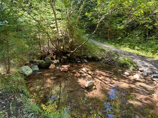 Arvadi sulfur spring or Schwefelquelle Arvadi (Die Eisen- und Sulfid-reiche Arvadi-Mineralwasser-Quelle) in the alpine valley of the river Albula or Alvra - Canton of Grisons, Switzerland (Schweiz)