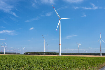 Wall Mural - Modern wind energy turbines with a blue sky in Germany