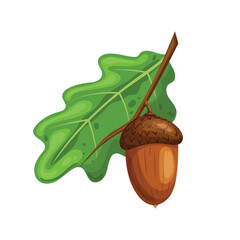 Sticker - acorn oak leaf cartoon vector illustration