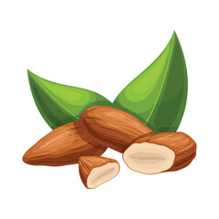 Sticker - almond nut seed cartoon vector illustration