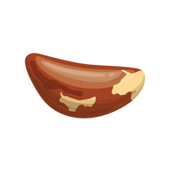 Poster - brazil nut healthy food cartoon vector illustration