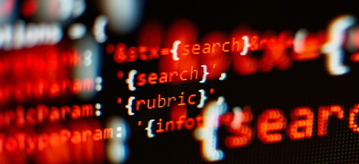 Computer source code programmer script developer.Code syntax on a computer screen