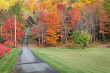 Road To Autumn Trees. Quebec. Canada.