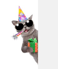 Happy Cat Wearing Sunglasses And Party Cap Holds Gift Box, Blows In Party Horn And Looks From Behind Empty White Banner. Isolated On White Background