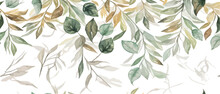 Eucalyptus Branches, Seeds And Leaves. Hand Drawn Eucalyptus Bouquet Isolated On White Background. Floral Illustration For Design, Print, Fabric Or Background. Vector Illustration