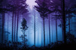 © twindesigner - A foggy wood pine forest with dark trees shillouettes and purple blue colors. Dramatic fog in the forest. Ai generated