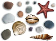 Sea Shells And Pebbles On A White Background. Realistic Illustration.
