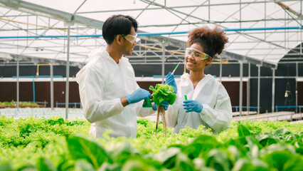 African American Plant Genetic Expert researcher and friends testing quality and bacteria contained in the mixture of water in a closed greenhouse hydroponic vegetable garden