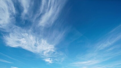 Wall Mural - cirrus clouds in the blue summer sky