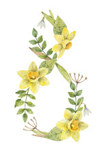 Watercolor Spring Forest Flowers And Leaves In The Shape Of Number Eight. Hand-drawn Floral Composition Of Daffodils, Sprigs And Branches. Illustration For International Women's Day Greeting Card