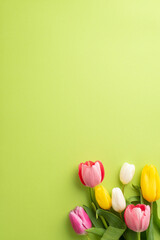 Wall Mural - Mother's Day concept. Top view vertical photo of bunch of spring flowers pink yellow and white tulips on isolated light green background with blank space